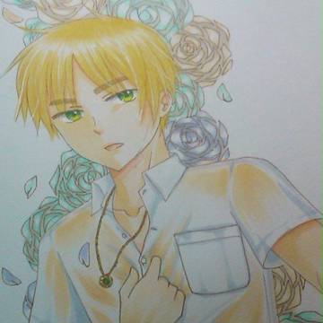 【腐向け】＼さぁはやく!!!／【朝菊】