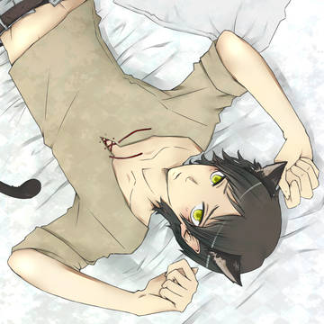 エレンさん猫【微腐向】