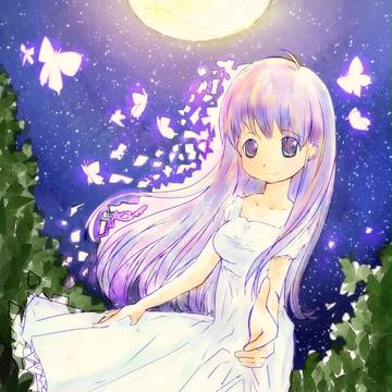 蝶の森