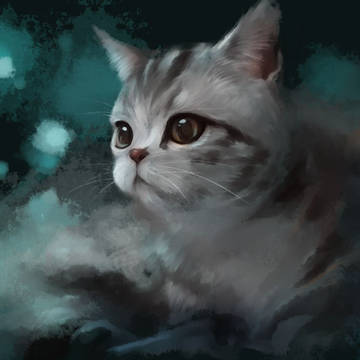 貓