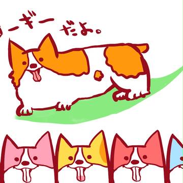 コーギーだよ