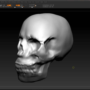 Skull