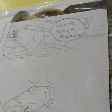 模写