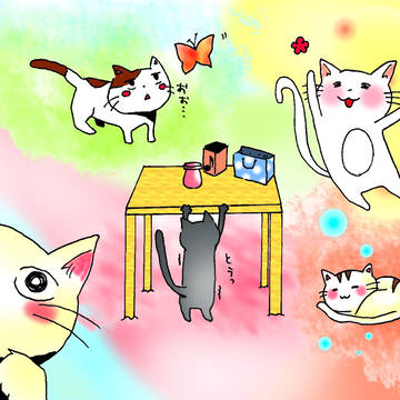 にゃんこー！