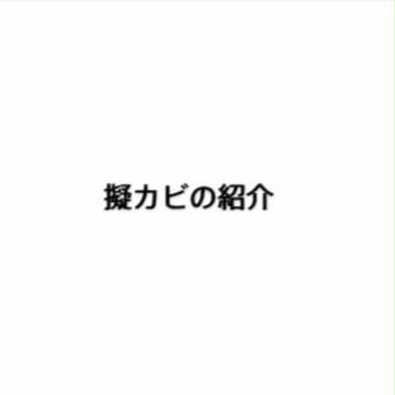 擬カビ紹介します(キャプション)