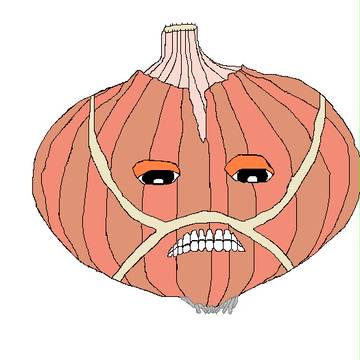 辛激の巨玉ねぎ