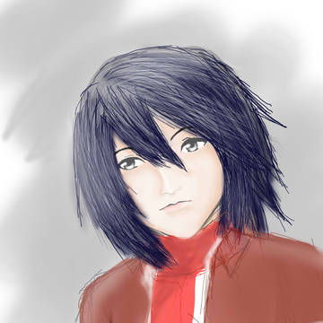 mikasa?