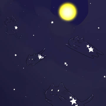 Cat the night sky