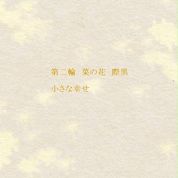第二輪