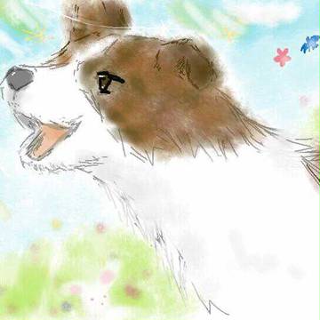 ぽかぽか♪