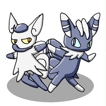 第６世代のネコ担当