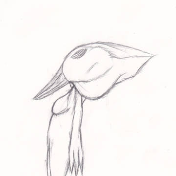 Cuttlefish!