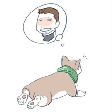corgi piersXD