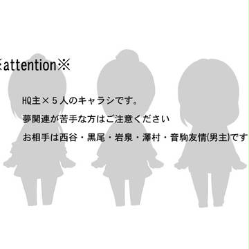 【夢主】H/Qキャラシ【設定】