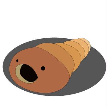 コロネ