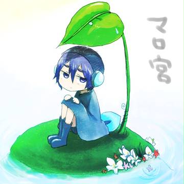 まろみや