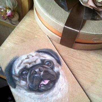 哈巴狗