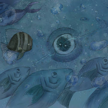 海と思考と刹那の煌めき