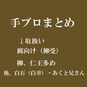 手ブロまとめ