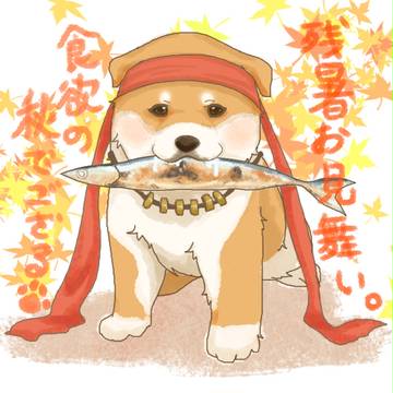 今更残暑お見舞い