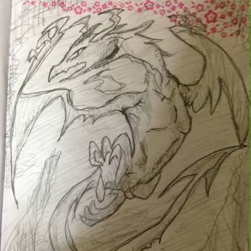 谷翔る白龍