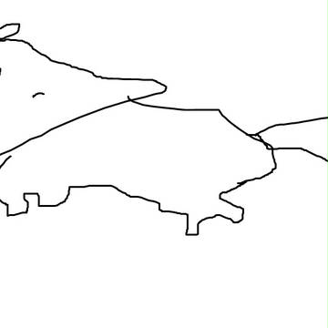 The Fox