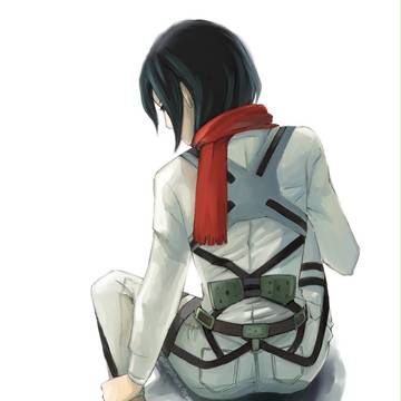 ミカサ