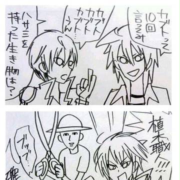 海馬にクイズ