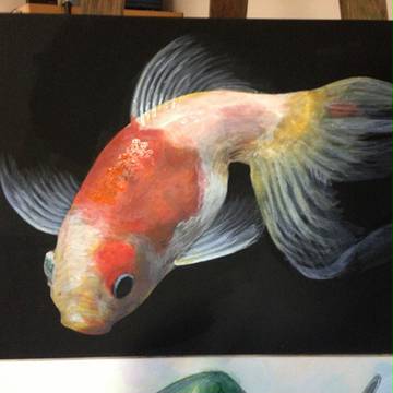 金魚