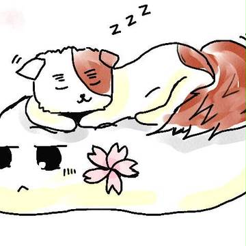 いぎねこにほもち