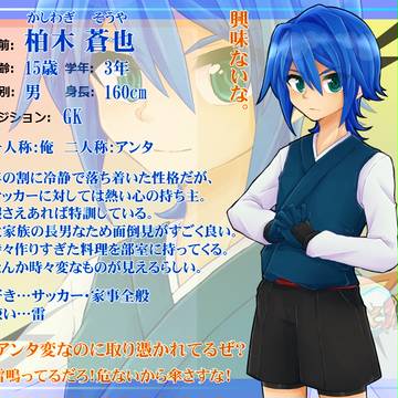 【pix11】柏木蒼也【キャラシート】