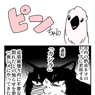 ピンちゃん1