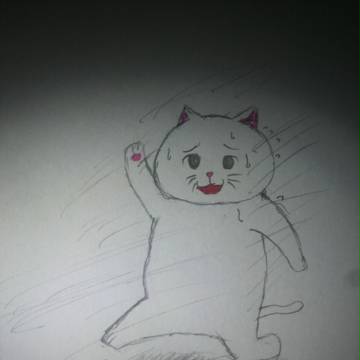 遅れて来たしろねこ