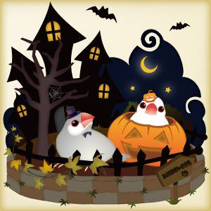 ハロウィン文鳥ズ
