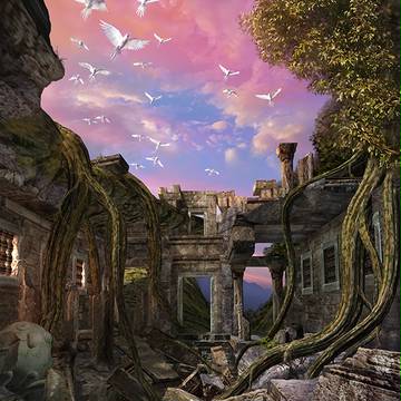 Ruins of birds (回廊）