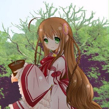 リトルフォレスト