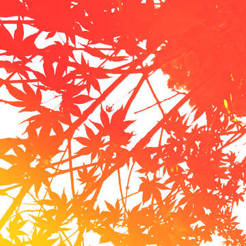 紅葉的ななにか