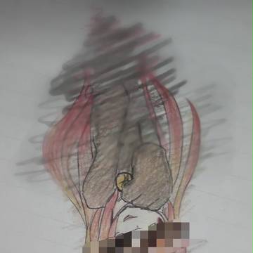泥棒猫