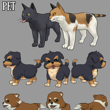 PET
