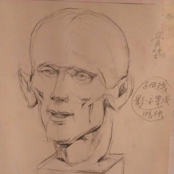 頭部の構造