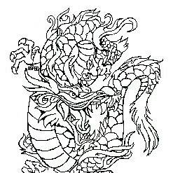 Asia Dragon