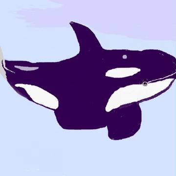 シャチ