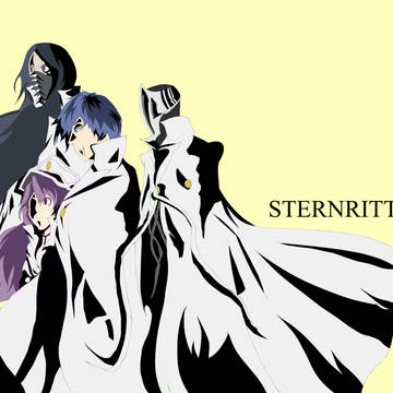 STERNRITTERS