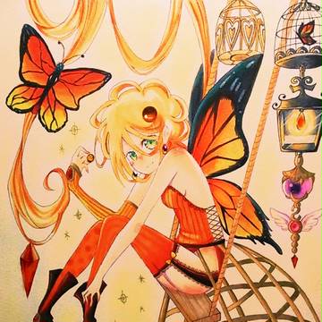 Butterfly