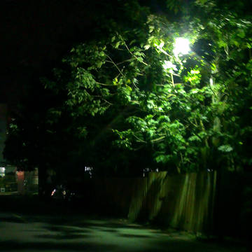 Light