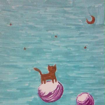猫と夜空
