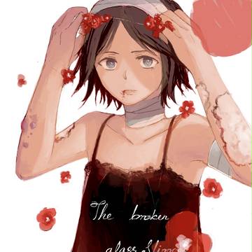 the broken glass slipper