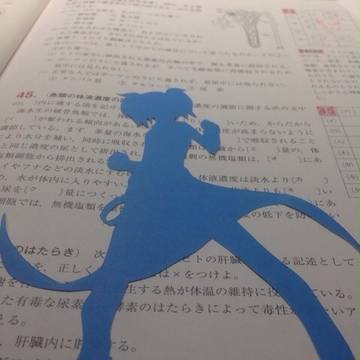 欲音ルコ