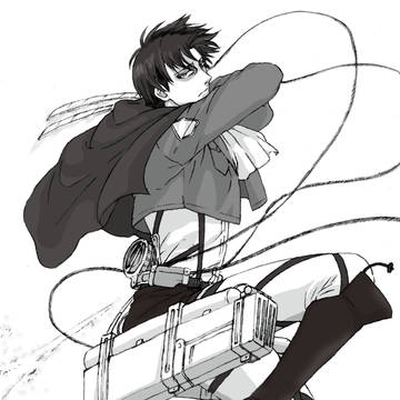 Levi