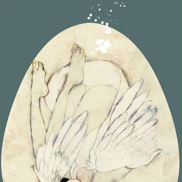 羽の子
